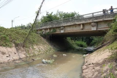 (Ảnh minh họa: Minh Phú/TTXVN)