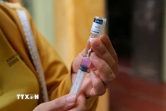 Tiêm vaccine phòng dại. (Nguồn: TTXVN)