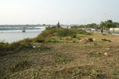 Khu vực đường Thăng Long ven sông Hàn đã xuống cấp, mọc nhiều lau lách, cỏ dại, gây mất mỹ quan. (Ảnh: Quốc Dũng/TTXVN)