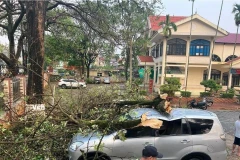 Mưa to kèm theo dông lốc khiến nhiều cây xanh bị gãy đổ trên địa bàn thành phố Sơn La, huyện Phù Yên, Thuận Châu, Quỳnh Nhai. (Ảnh: TTXVN phát)