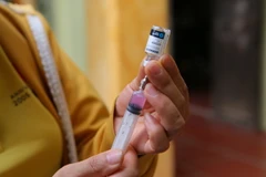 Lấy vaccine phòng bệnh dại chuẩn bị tiêm cho chó, mèo. (Ảnh: Công Luật/TTXVN)