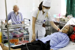 Ảnh chỉ có tính minh họa. (Ảnh: Dương Ngọc/TTXVN)