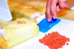 Ảnh chỉ có tính minh họa. (Nguồn: THX/TTXVN)