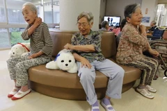 Tác động của robot động vật đối với bệnh nhân mất trí