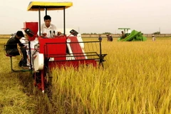 Xây dựng Đồng bằng sông Hồng tiên phong đột phá chiến lược