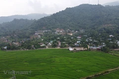 Ảnh minh họa. (Nguồn: Hùng Võ/Vietnam+)