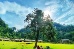 (Ảnh minh họa. Nguồn: Mai Mai/Vietnam+) 