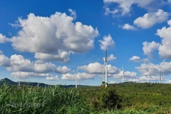 Phát triển năng lượng tái tạo (điện gió) theo hướng bền vững. (Nguồn ảnh: Hùng Võ/Vietnam+)