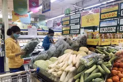 (Ảnh minh họa: Mỹ Phương/TTXVN)