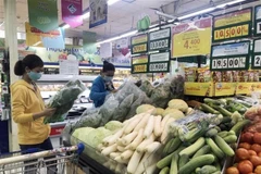 (Ảnh minh họa: Mỹ Phương/TTXVN)