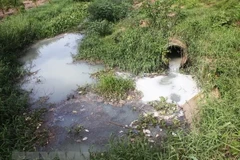 Ảnh minh họa. (Nguồn ảnh: TTXVN)