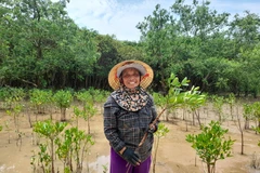 Cô Bùi Thị Dìn ở xã Đa Lộc (huyện Hậu Lộc, tỉnh Thanh Hóa) tự hào khi đã tự tay trồng hàng nghìn cây ngập mặn chắn sóng, chắn bão ven biển. (Ảnh: HV/Vietnam+)