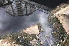 Ảnh minh họa. (Nguồn ảnh: Hùng Võ/Vietnam+)