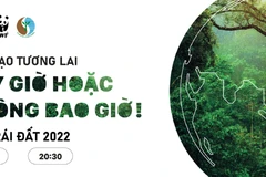 Giờ Trái Đất năm 2022: Tắt đèn - cùng hành động, 'bật sáng' tương lai