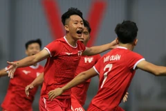 (Ảnh: CTV/Vietnam+)