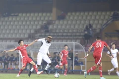 V-League 2020 trở lại ngày 5/6 tới và dự kiến kết thúc vào 31/10. (Ảnh: Nguyên An/Vietnam+)