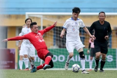 (Ảnh: Trung Hiếu/Vietnam+)