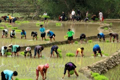 Hội thảo phát triển kinh tế Hà Giang trong mối liên kết vùng Đông-Tây
