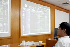 Ảnh minh họa. (Nguồn: Doãn Đức/Vietnam+)