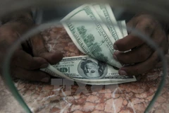 “Đồng bạc xanh" mạnh lên: Về lâu dài cần phải thận trọng 