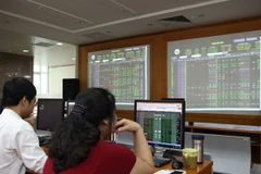 Ảnh minh họa. (Nguồn: Doãn Đức/Vietnam+)