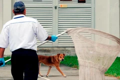 Ảnh minh họa. (Nguồn: The Sun Daily)