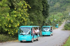 Cơ hội vàng phát triển thị trường xe ôtô điện tại Việt Nam