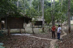 Khu du lịch cộng đồng Lâm viên Phiêng Bung của Hợp tác xã nông nghiệp Thanh niên Năng Khả. (Ảnh: Nam Sương/TTXVN)