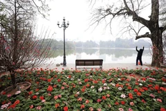 Kế hoạch loại trừ chất làm giảm tầng ozone tham vọng của Việt Nam