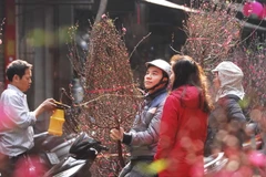 Ảnh minh họa. (Nguồn: TTXVN)