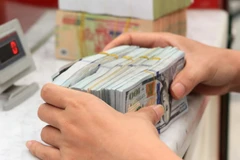 Ảnh minh họa. (Ảnh: Trần Việt/TTXVN)