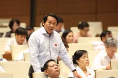 Đại biểu Quốc hội thành phố Đà Nẵng Thân Đức Nam phát biểu ý kiến thảo luận dự án Luật đấu giá tài sản. (Ảnh: Phương Hoa/TTXVN)