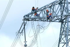 (Ảnh minh họa: Ngọc Hà/TTXVN) 