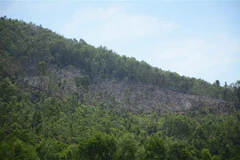 (Ảnh minh họa: Văn Dũng/TTXVN)