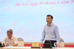 Thứ trưởng Bộ Công thương Đỗ Thắng Hải trả lời một số nội dung liên quan đến giá thịt lợn. (Ảnh: Dương Giang/TTXVN)