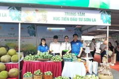 Gian hàng giới thiệu sản phẩm của các tỉnh, thành phố trưng bày tại Big C Thăng Long. (Ảnh: Phương Anh/TTXVN)