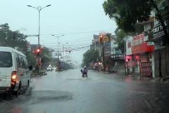 (Ảnh minh họa: Hoàng Hùng/TTXVN)