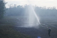 Đám cháy tại Vườn Quốc gia Tràm Chim (Đồng Tháp) đã cơ bản được khống chế. (Ảnh: Nhựt An/TTXVN)