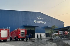 Lực lượng kịp thời khống chế cháy lớn tại nhà xưởng của Công ty Home Fancy Furniture Việt Nam. (Ảnh: TTXVN phát)