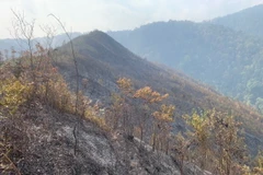 Đến 6 giờ sáng 26/3, vụ cháy rừng tại huyện Mù Cang Chải, tỉnh Yên Bái đã được dập tắt hoàn toàn. (Ảnh: TTXVN phát)