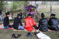 Lễ Xên đông được bắt đầu bằng nghi thức cúng rừng, được tổ chức dưới gốc một cây đa cổ thụ hàng trăm năm tuổi. (Nguồn: Vietnam+)