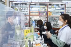 Hướng dẫn sử dụng thuốc. (Ảnh: Minh Quyết/TTXVN)