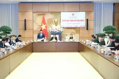 Một phiên họp của Hội đồng Dân tộc. (Nguồn: TTXVN)