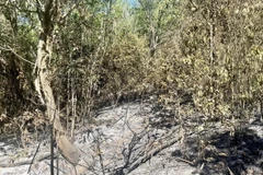 Đám cháy được khống chế, dập tắt hoàn toàn. (Ảnh: TTXVN phát)