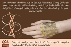 Phát minh loại da điện tử sinh học đầu tiên trên thế giới.