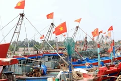 Tàu thuyền neo đậu tránh bão. (Nguồn: TTXVN)