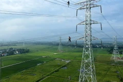 Thi công đường dây 500kV mạch 3. (Ảnh: Việt Hoàng/TTXVN)