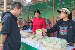 Sản phẩm của một làng nghề ở Hà Nội. (Ảnh: Phương Anh/TTXVN)
