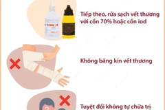 Cần làm gì ngay sau khi bị chó, mèo cắn để phòng bệnh dại?