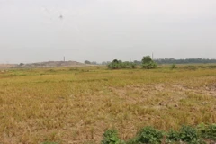 Ảnh minh họa. (Nguồn: TTXVN)